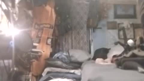 Mr. FogoDeChao online show from 04/20/26, 12:57