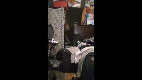 Mr. FogoDeChao online show from 06/11/26, 02:26