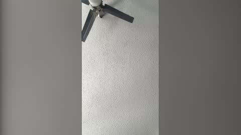 Dominate bbc online show from 02/03/26, 07:52