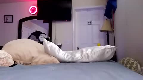 lookatmecum4you online show from 01/18/25, 11:32