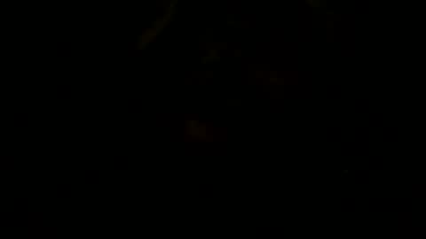 loose565 online show from 02/23/26, 06:49