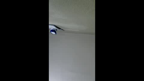 2791 3D online show from 01/08/26, 05:10