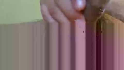 2791 3D online show from 02/12/26, 05:35