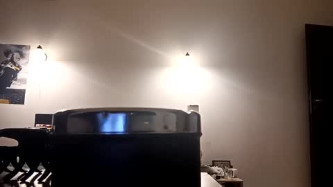 Snapshot of loraflame chatting on 12/29/24, 10:23 Lora online show from 12/29/24, 10:23