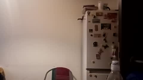 Snapshot of loraflame chatting on 12/31/24, 12:36 Lora online show from 12/31/24, 12:36