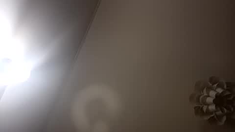 Snapshot of loraflame chatting on 01/05/25, 06:56 Lora online show from 01/05/25, 06:56