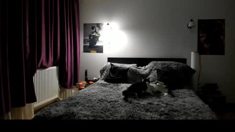 Snapshot of loraflame chatting on 01/08/25, 06:41 Lora online show from 01/08/25, 06:41