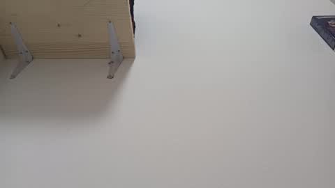 Snapshot of loraflame chatting on 01/10/25, 01:41 Lora online show from 01/10/25, 01:41