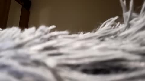 Snapshot of loraflame chatting on 01/15/25, 08:05 Lora online show from 01/15/25, 08:05