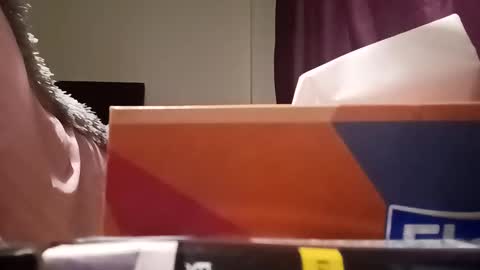 Snapshot of loraflame chatting on 02/20/25, 04:46 Lora online show from 02/20/25, 04:46