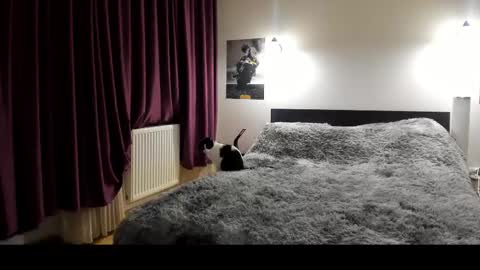 Snapshot of loraflame chatting on 02/21/25, 05:53 Lora online show from 02/21/25, 05:53