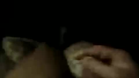 LostinDremes online show from 07/16/26, 10:10