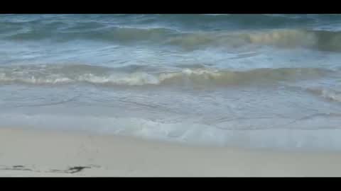 Snapshot of louis_zh chatting on 11/05/25, 09:04 Louis online show from 11/05/25, 09:04