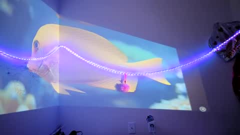 lovecandycunt143 online show from 09/25/25, 08:23