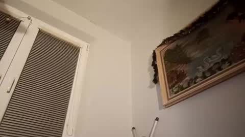 mister nice cockie online show from 12/27/24, 11:21