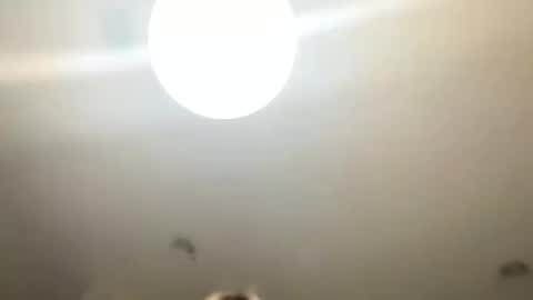 Love online show from 01/24/25, 10:51