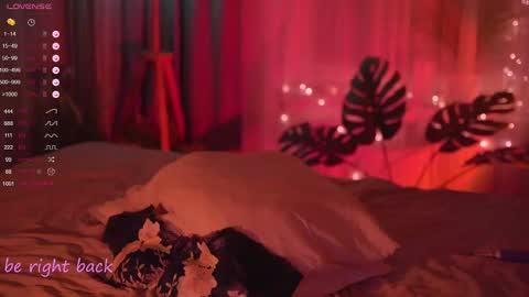 Nelly online show from 02/20/25, 08:36