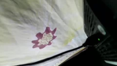 Snapshot of lovelypinay2 chatting on 02/05/25, 03:34 lovelypinay2 online show from 02/05/25, 03:34