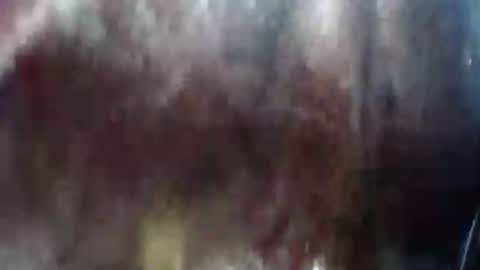 Snapshot of lover_mature2 chatting on 02/21/25, 10:37 Mature lover2 online show from 02/21/25, 10:37