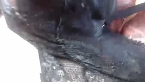 Snapshot of lover_mature2 chatting on 02/27/25, 09:14 Mature lover2 online show from 02/27/25, 09:14