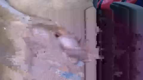 Lovesblackazz online show from 03/09/26, 03:43