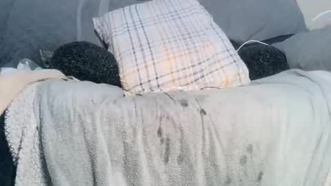 lovetobeused online show from 02/17/26, 02:19