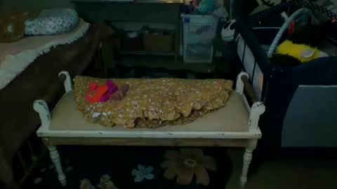 Snapshot of lovetubes101 chatting on 09/19/25, 01:18 lovetubes101 online show from 09/19/25, 01:18