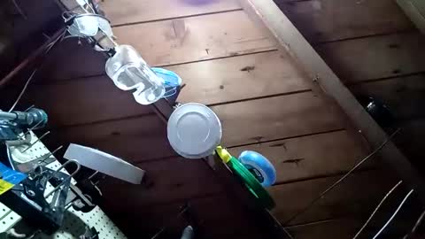 lowtidehightide online show from 11/25/25, 04:51