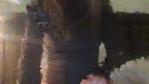 lozivelle online show from 11/12/25, 05:41