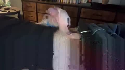 lubthemtitties online show from 12/22/24, 08:49