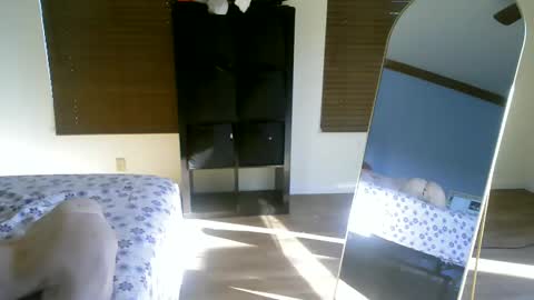 luchamuscles online show from 12/05/24, 10:01