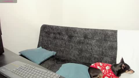 Snapshot of lucii_30 chatting on 12/04/25, 07:11 luci online show from 12/04/25, 07:11