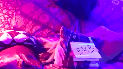 Lucky Eid Azy online show from 01/04/25, 06:52