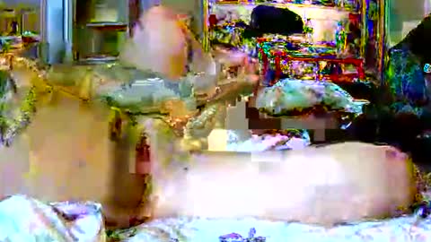 lucky134u online show from 04/09/26, 02:55