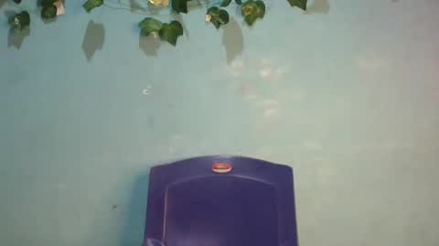 Gloria online show from 11/17/25, 01:00