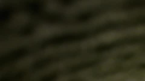 lucretiasissygothic online show from 11/25/25, 05:07