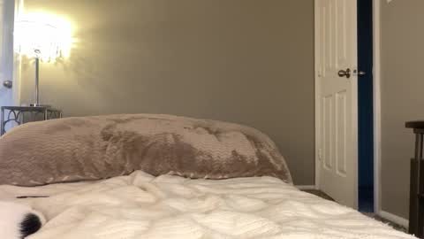 Lucy online show from 11/25/25, 09:59