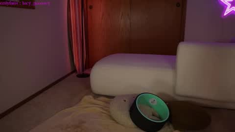 Lucy. online show from 02/03/25, 04:57