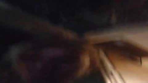 Lucy Vybes and Go-Gert online show from 03/04/25, 07:08