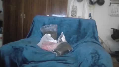 Snapshot of luis2423 chatting on 02/22/26, 11:14 A slave to the mistress.. un esclavo para las amas dominantes. online show from 02/22/26, 11:14