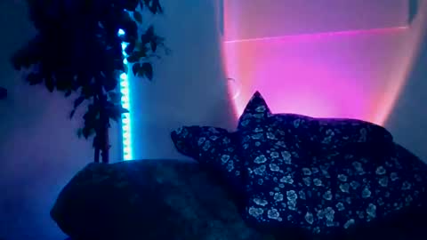 luisjg24hrs online show from 05/18/26, 08:42