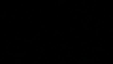 Skaluk online show from 04/12/26, 10:48