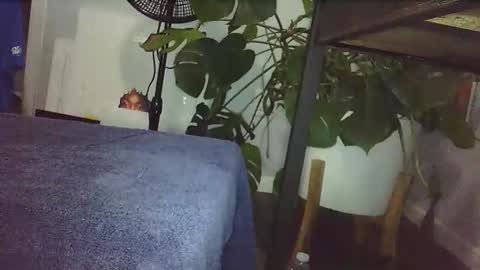 Snapshot of lukesky222 chatting on 02/14/26, 09:00 Luke online show from 02/14/26, 09:00