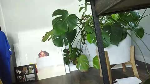 Snapshot of lukesky222 chatting on 03/15/26, 07:31 Luke online show from 03/15/26, 07:31