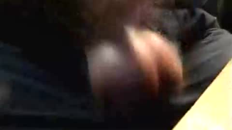 lukestarfckr online show from 10/17/25, 04:53