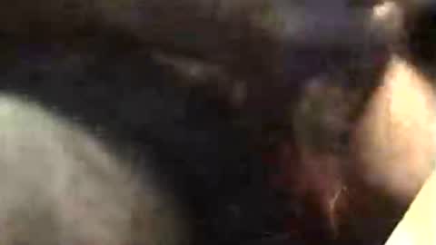 lukestarfckr online show from 11/18/25, 05:34