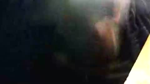 lukestarfckr online show from 02/15/26, 09:33