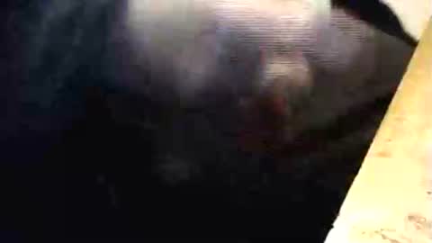 lukestarfckr online show from 03/01/26, 06:32