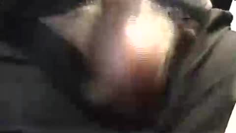 lukestarfckr online show from 05/29/26, 01:53