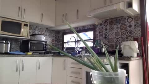 lucifer online show from 02/18/25, 04:05